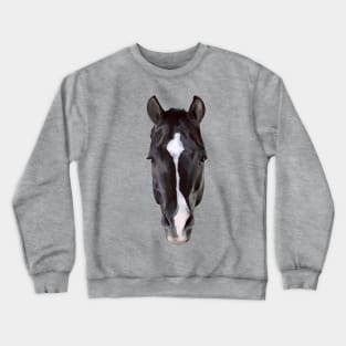 Valegro Face Marking Crewneck Sweatshirt